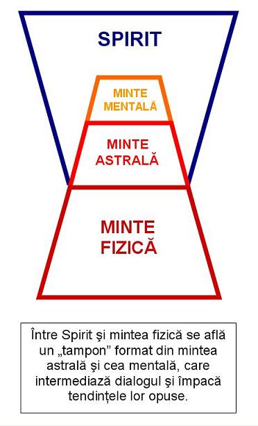 spirite evoluate